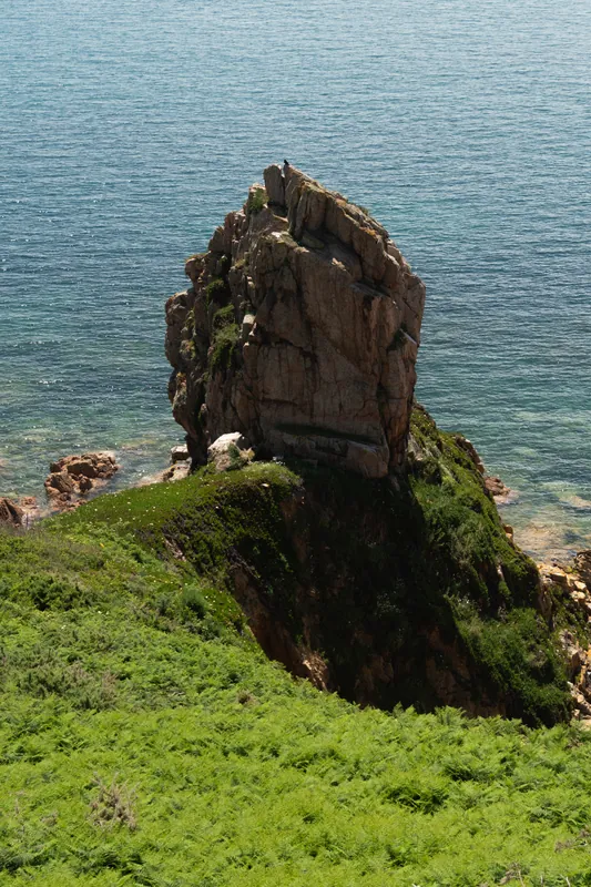 Another pinacle, La Laison de la Moye, Jersey. 2024.